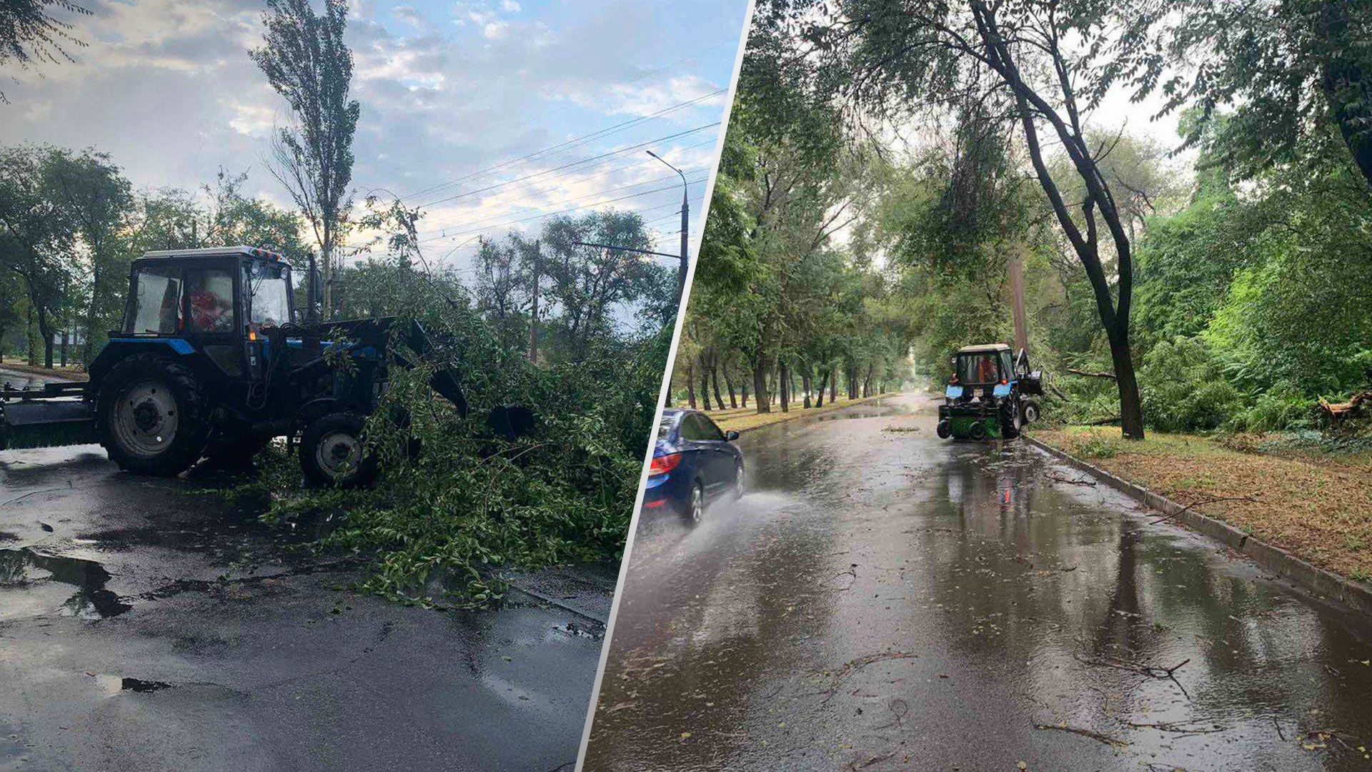 Гроза в Запорожье повалила деревья и оборвала провода - Новости Запорожья - 24 Канал