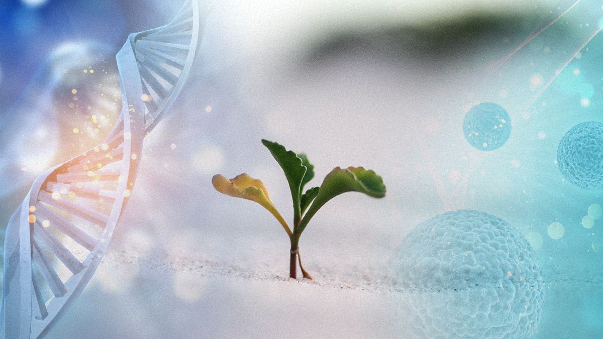 Новое открытие переворачивает наши представления о начале жизни на Земле Новое открытие переворачивает наши представления о начале жизни на Земле