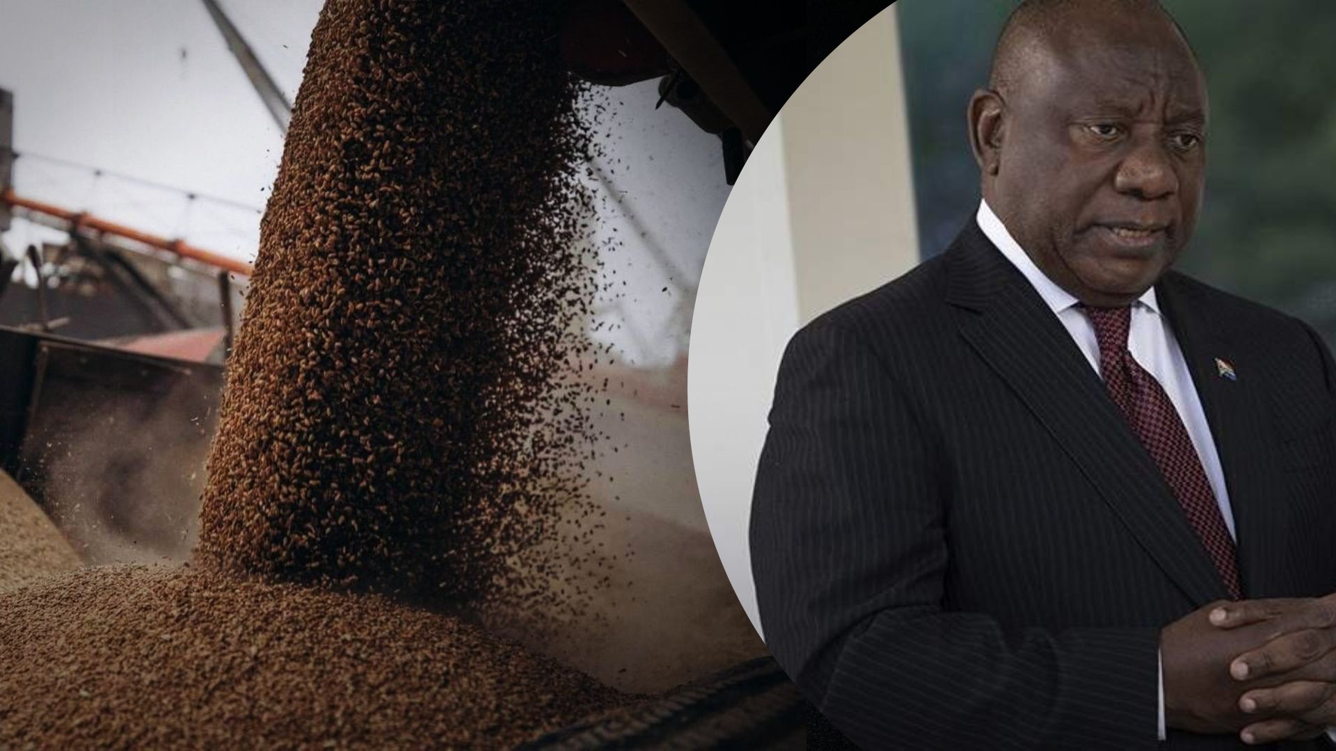 Лидеры Африки не приехали в Россию из-за зернового соглашения Лидеры Африки не приехали в Россию из-за зернового соглашения