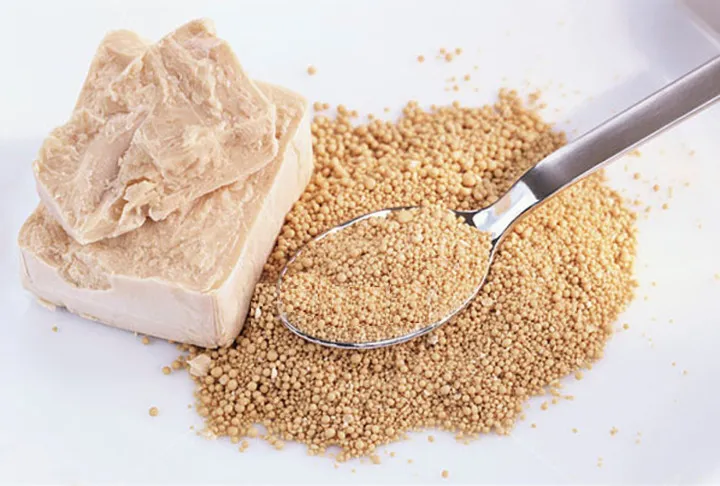 Дрожжи Дрожжи