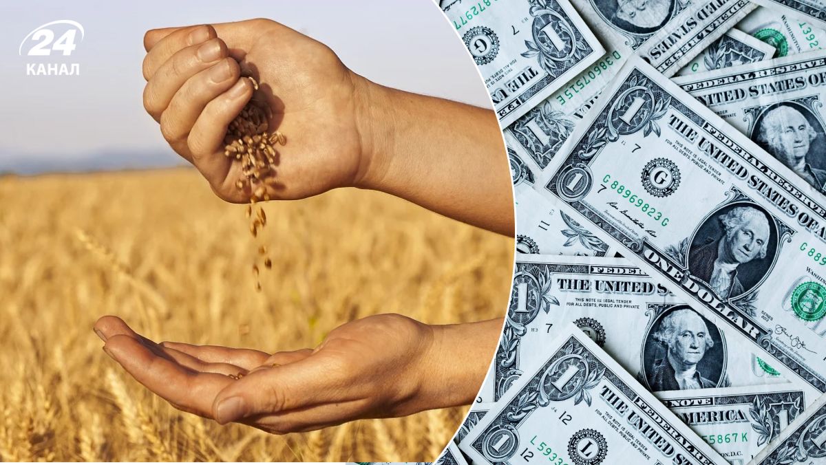 Втрати аграріїв через припинення дії "зернового коридору" Втрати аграріїв через припинення дії "зернового коридору"