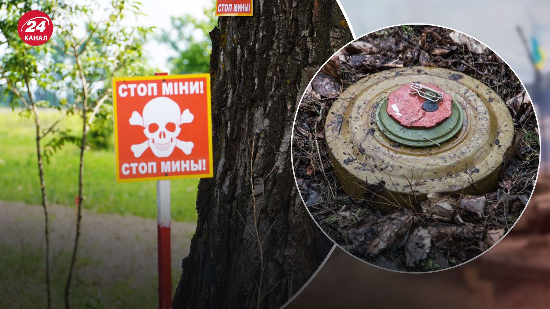 Жданов про розмінування Жданов про розмінування