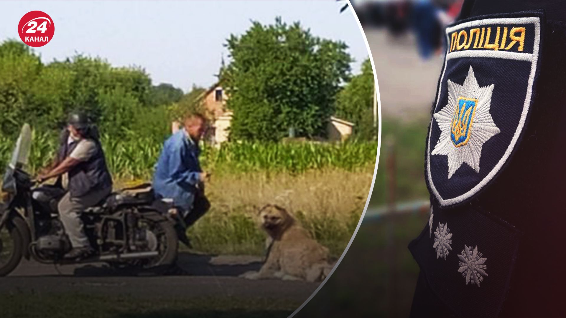 Поліція на Полтавщині почала розслідувати жорстоке поводження з собакою Поліція на Полтавщині почала розслідувати жорстоке поводження з собакою