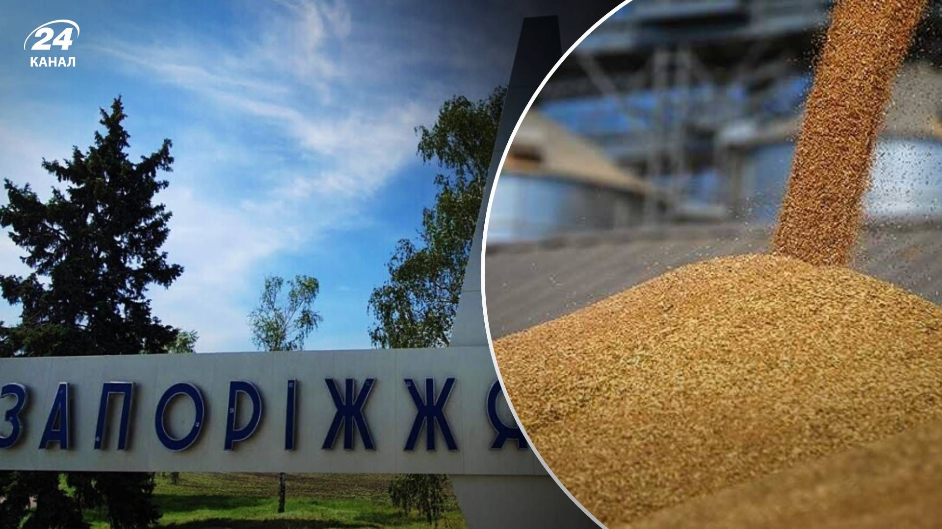 Зернова угода - як росіяни обіцяють країнам Африки запорізьке зерно Зернова угода - як росіяни обіцяють країнам Африки запорізьке зерно