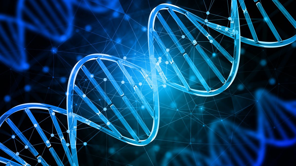 Ученые создали новый самый крепкий материал Ученые создали новый самый крепкий материал
