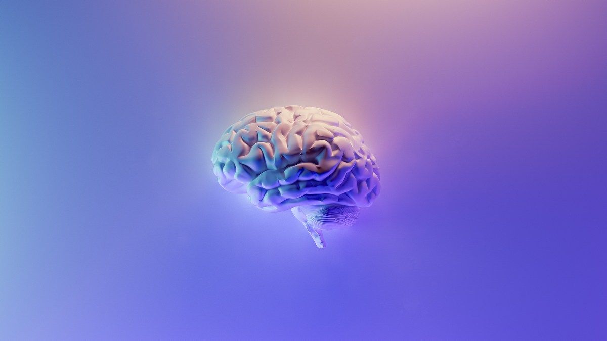 Вчені виростять людський мінімозок на МКС Вчені виростять людський мінімозок на МКС