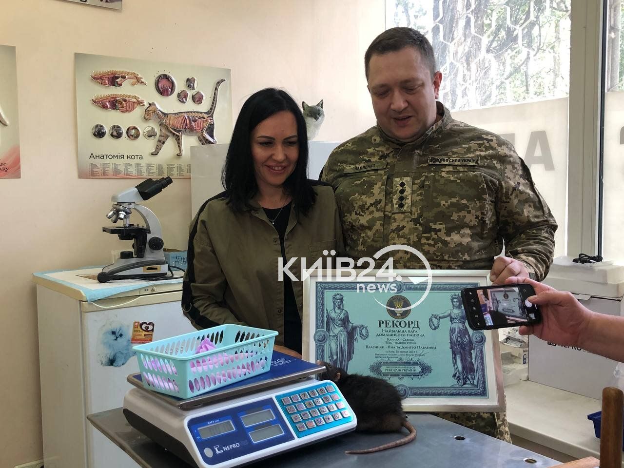 В Киеве живет самая серая крыса в мире