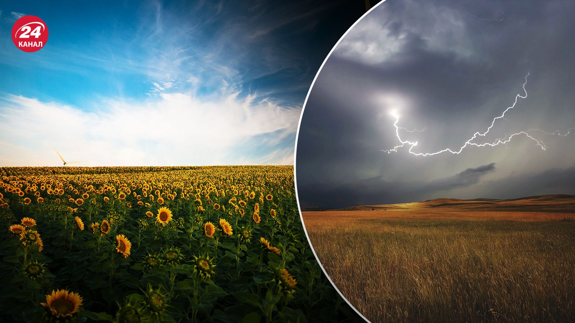 Прогноз погоды в Украине на 1 августа.