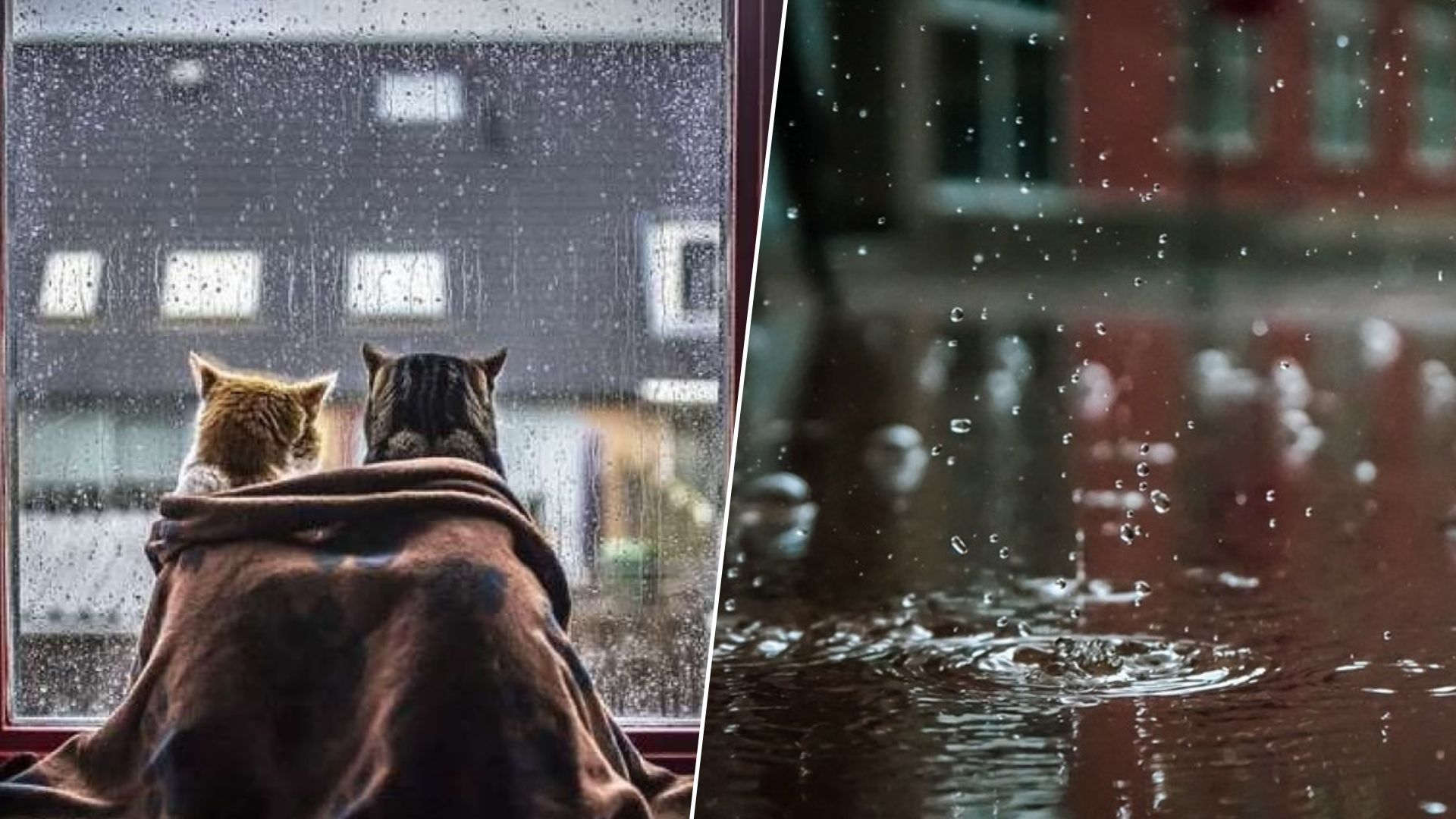 Прогноз погоди на 2 серпня Прогноз погоди на 2 серпня