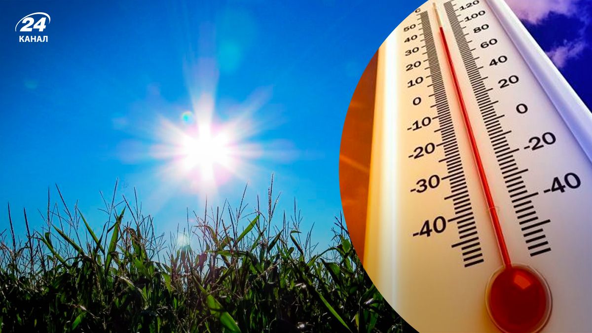 Жара - 24 Канал Жара - 24 Канал