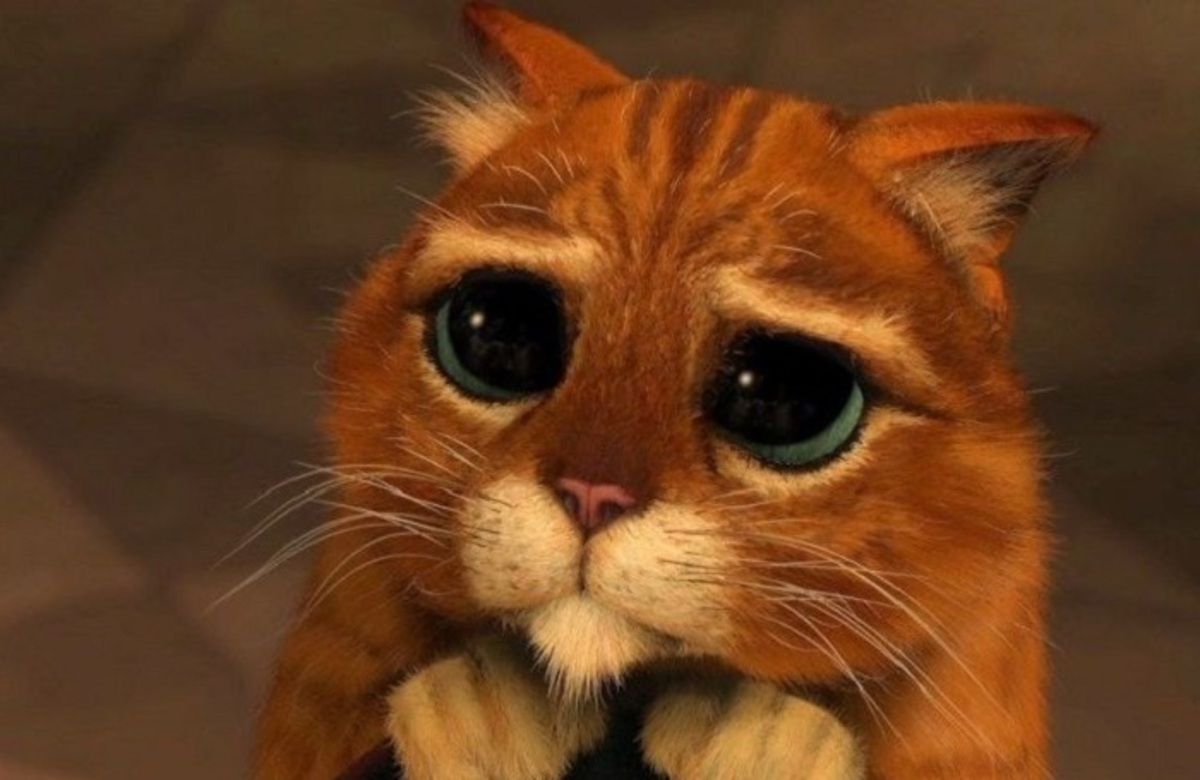 Я извиняюсь - как правильно на украинском заменить эту некорректную фразу - интересные соответствия Я извиняюсь - как правильно на украинском заменить эту некорректную фразу - интересные соответствия