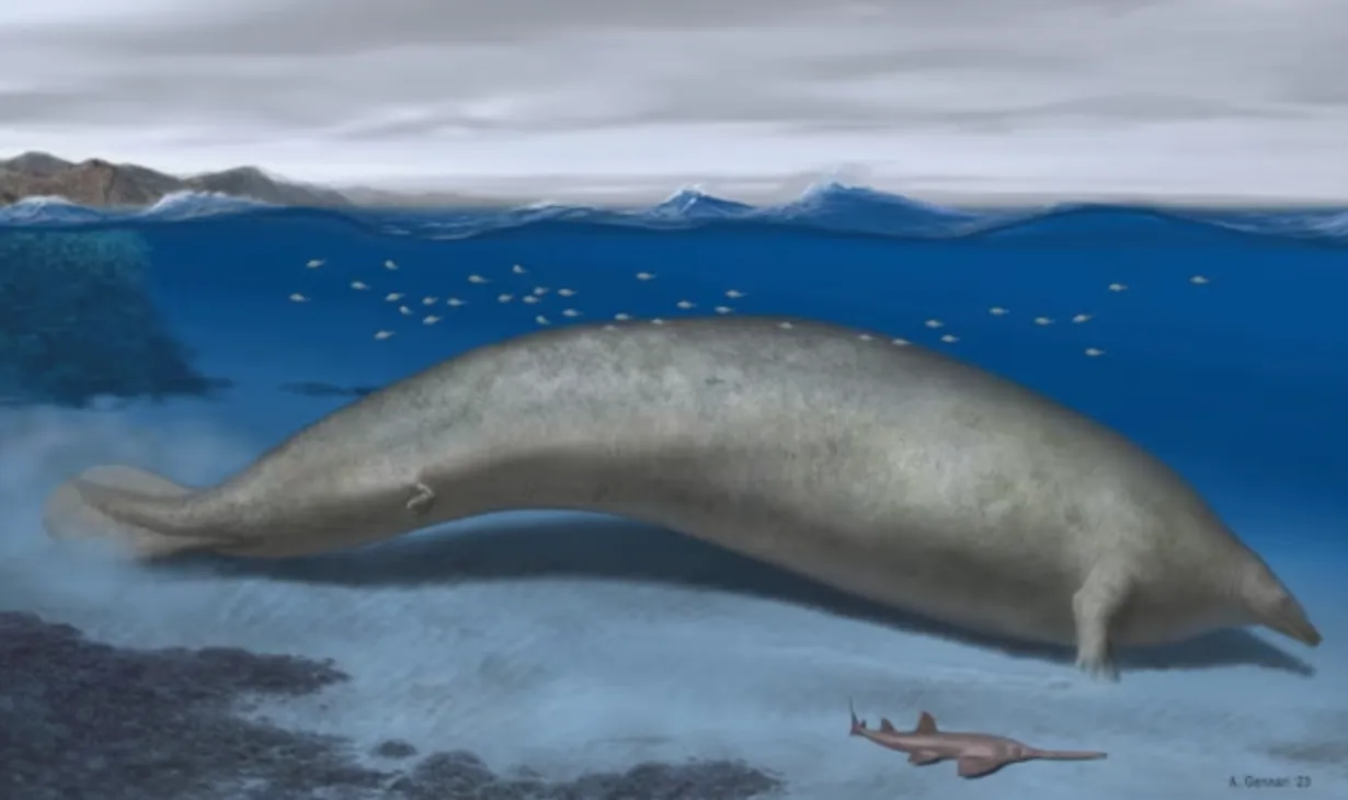 Реконструкция Perucetus colossus в его прибрежной среде обитания с ориентировочной длиной тела 20 метров