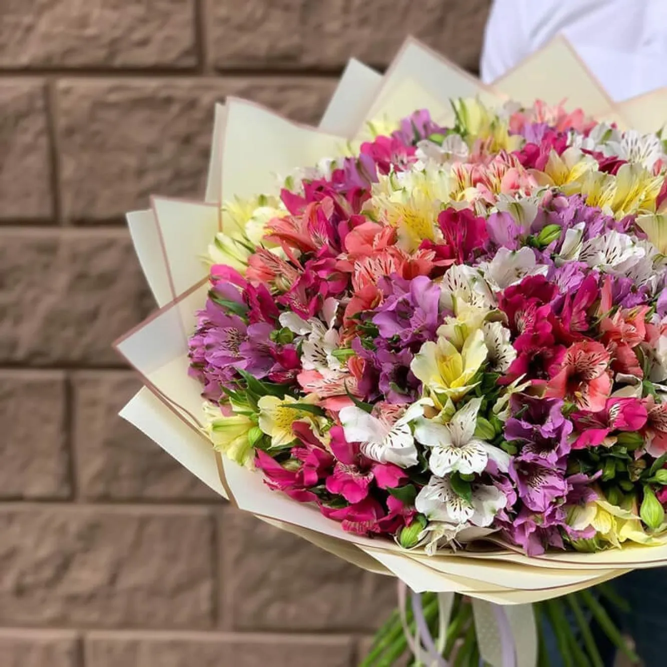 Альстромерии Альстромерии