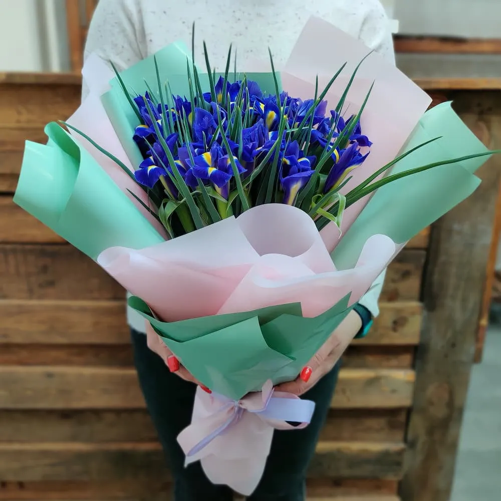 Ирисы Ирисы