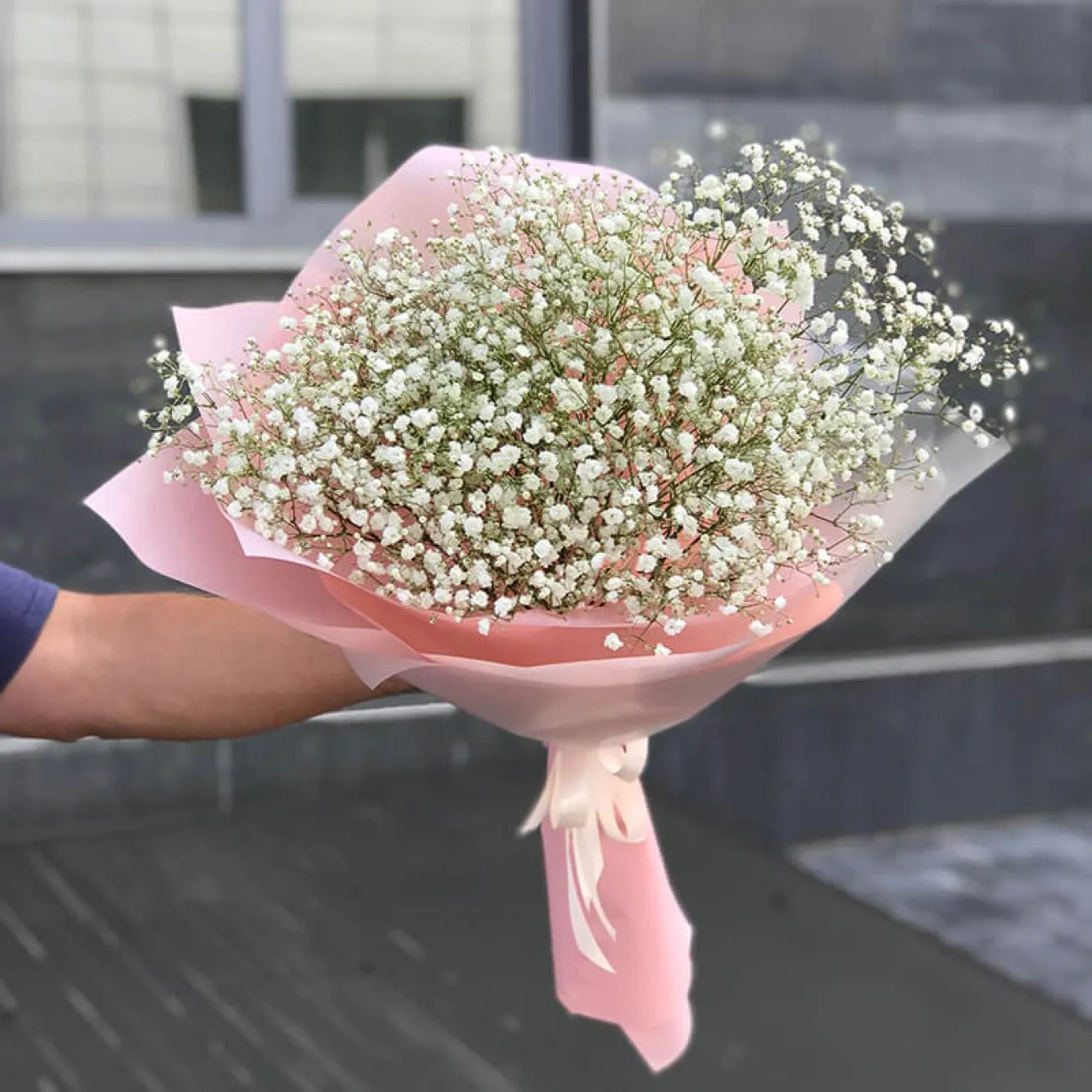 Гипсофилы Гипсофилы