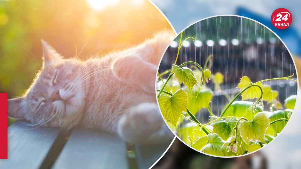 Якою буде погода 5 серпня Якою буде погода 5 серпня