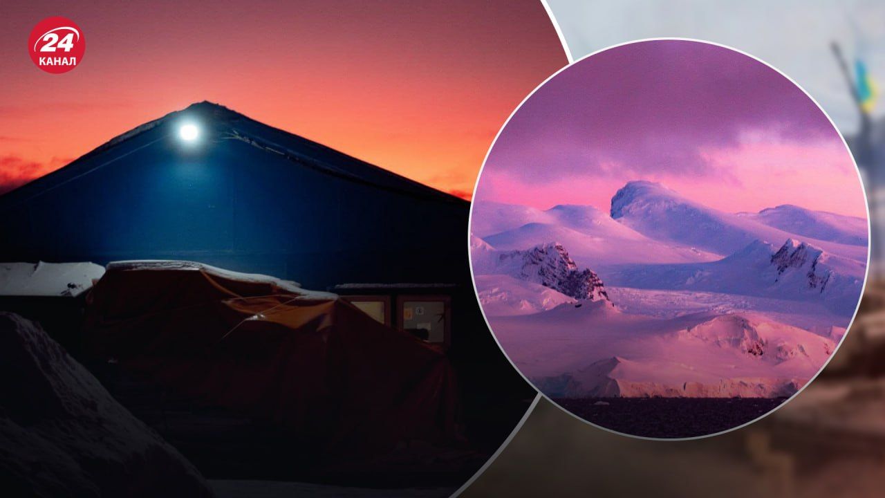 Фотографии розовой Антарктиды чудесные Фотографии розовой Антарктиды чудесные