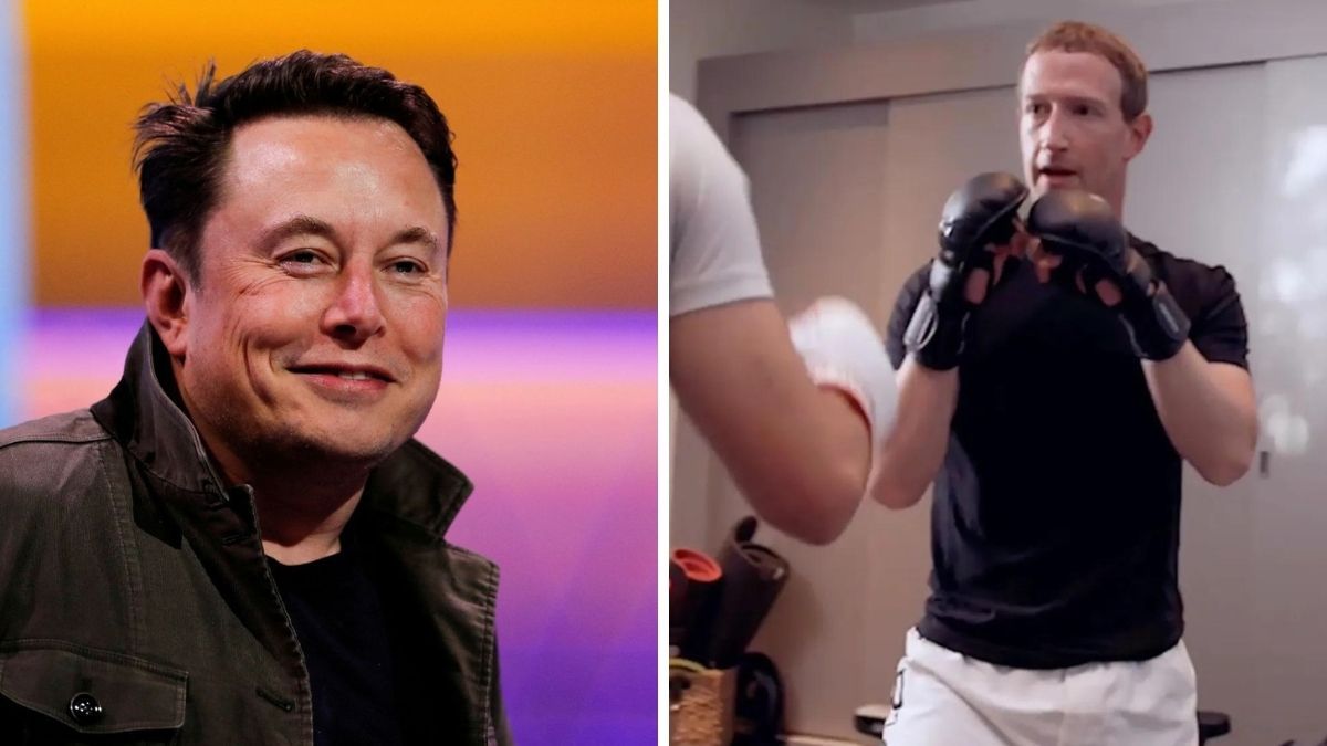 Дата боя Маска против Цукерберга известна Дата боя Маска против Цукерберга известна