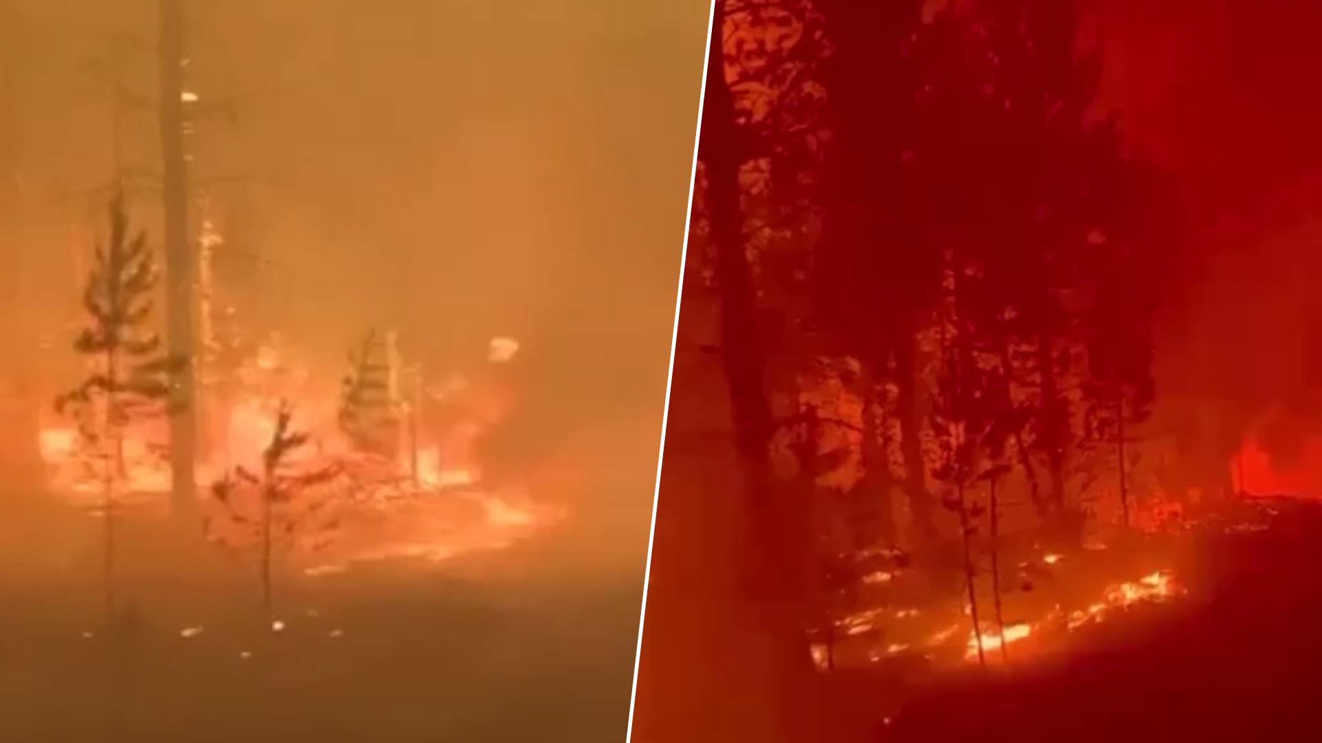 Страшні лісові пожежі охопили російську Якутію