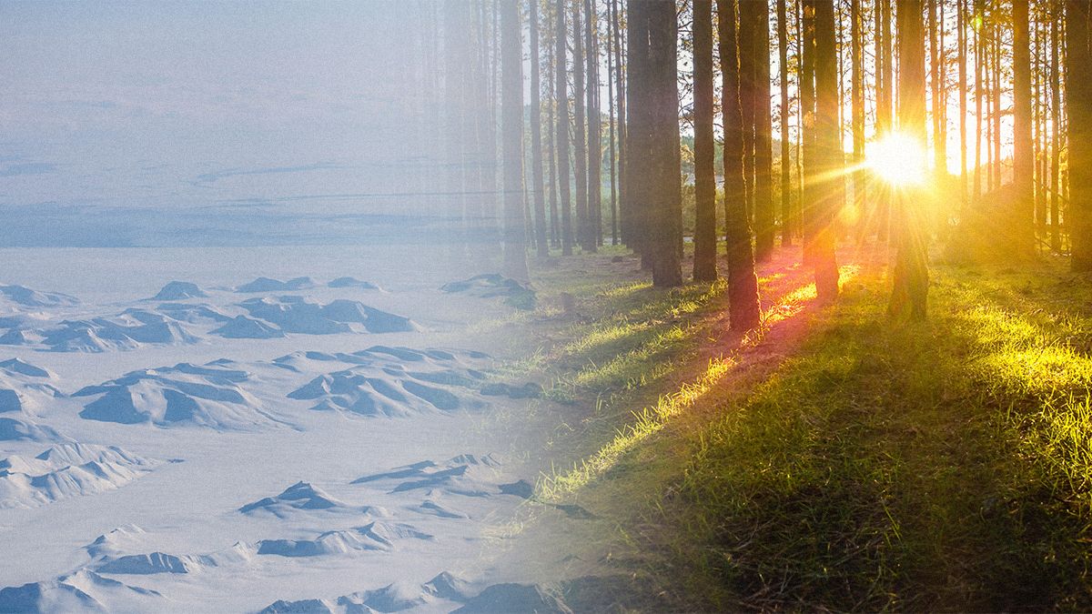 Теперь мы знаем, что вызвало давнее глобальное потепление и можем замедлить нынешнее Теперь мы знаем, что вызвало давнее глобальное потепление и можем замедлить нынешнее