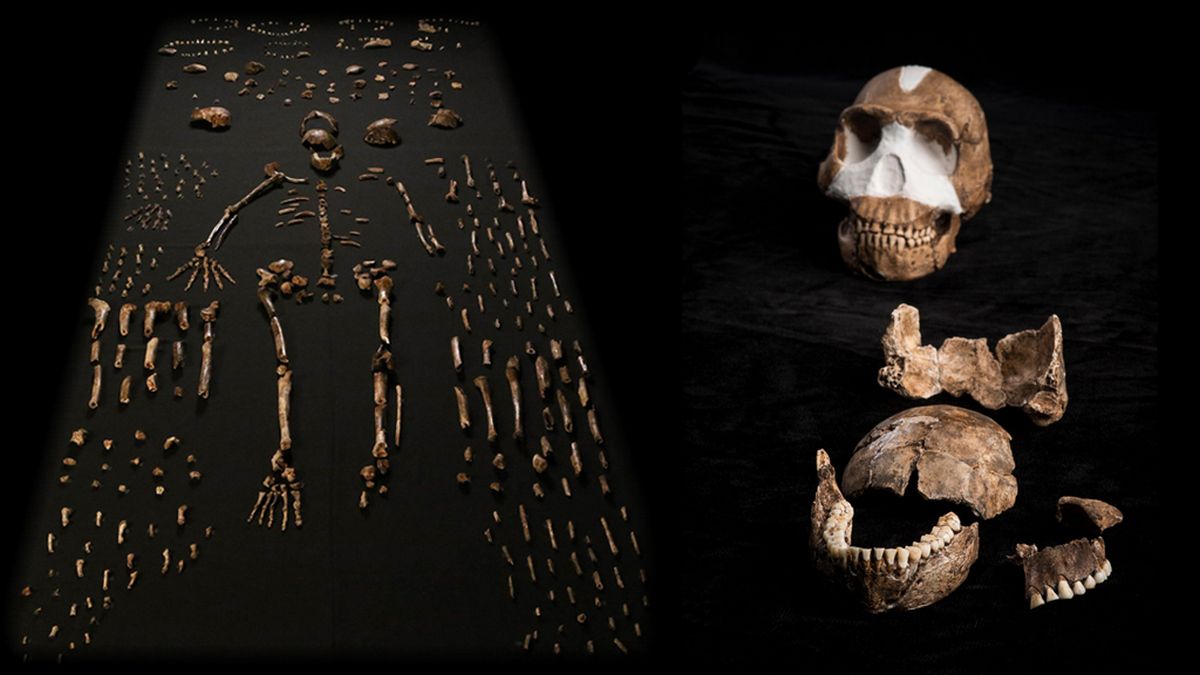 Рецензенти не погодилися з висновками дослідження, яке обіцяло сенсацію в науковому світі Рецензенти не погодилися з висновками дослідження, яке обіцяло сенсацію в науковому світі