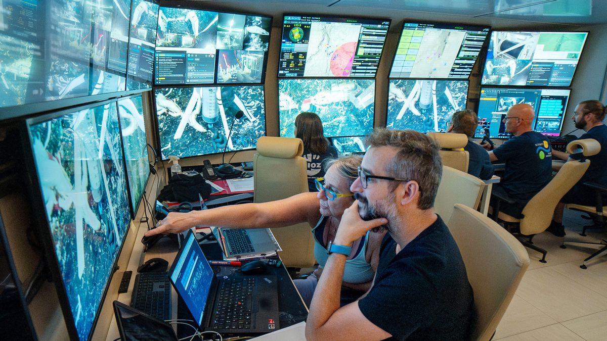 Ученые нашли множество новых животных в вулканических полостях под океаническим дном Ученые нашли множество новых животных в вулканических полостях под океаническим дном