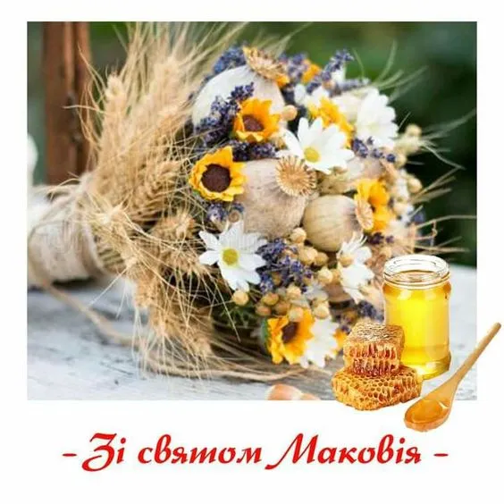 Маковея Маковея