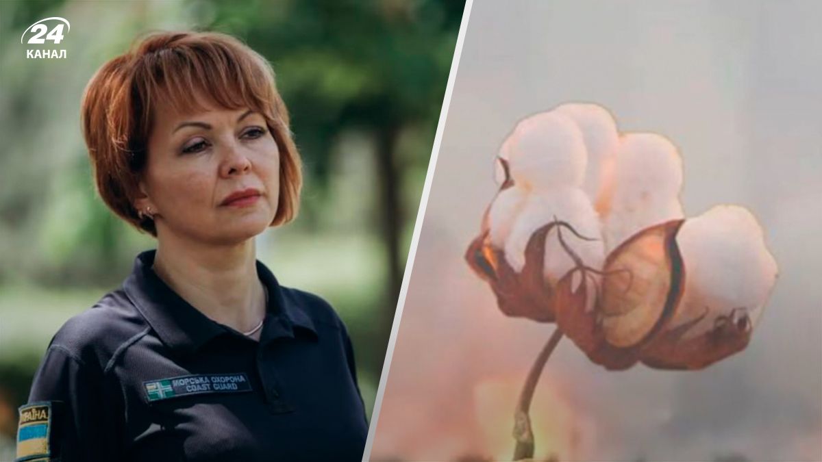 Гуменюк прокомментировала ночной хлопок в Крыму - 24 Канал Гуменюк прокомментировала ночной хлопок в Крыму - 24 Канал