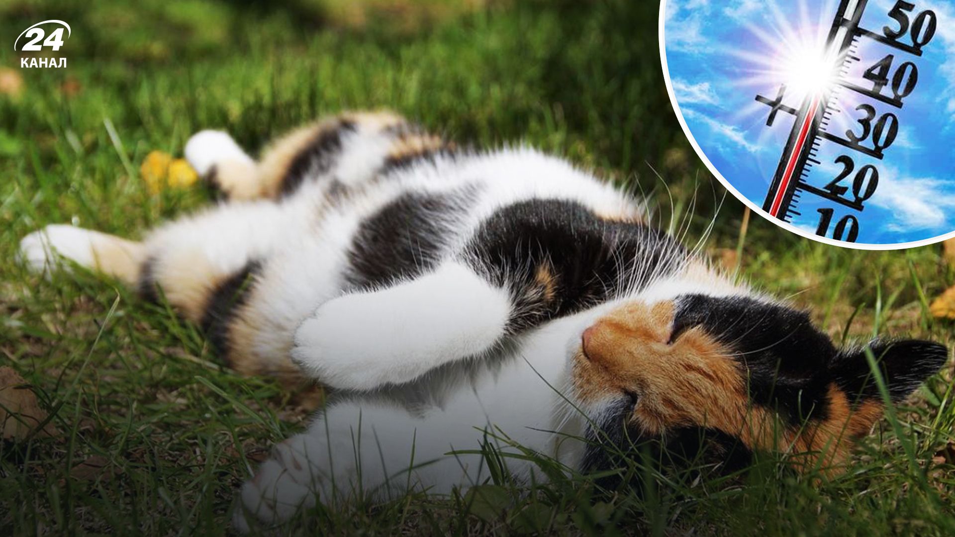 Спека - 24 Канал Спека - 24 Канал