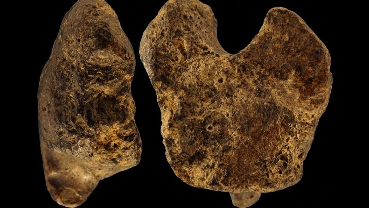 Загадочный древний артефакт найден в пещере Грот-де-Горж Загадочный древний артефакт найден в пещере Грот-де-Горж