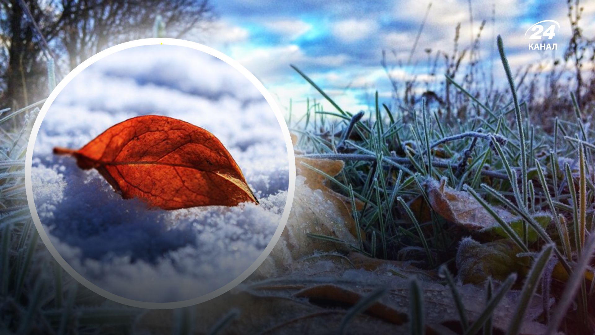 Погода на осень 2023 - 24 Канал Погода на осень 2023 - 24 Канал