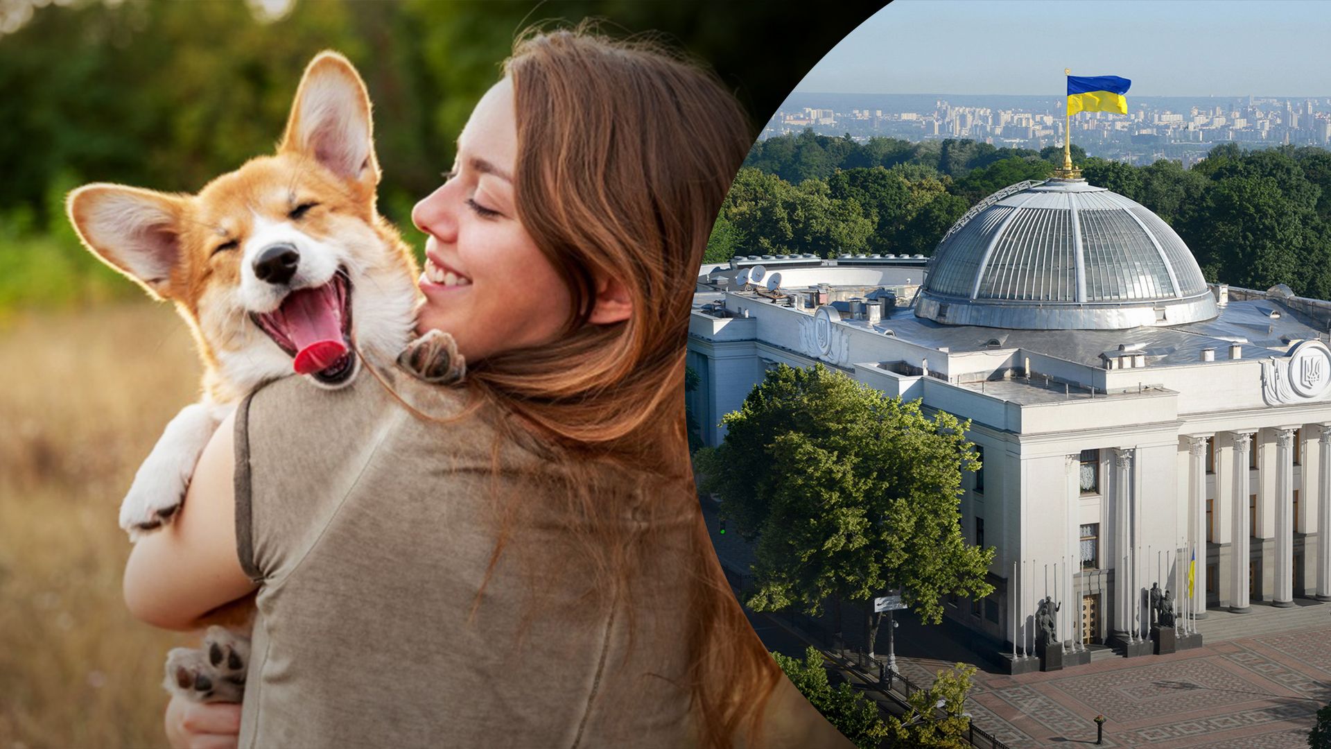 Колишня працівниця Ради назвала власників собак збоченцями - все, що відомо про скандал - 24 Канал Колишня працівниця Ради назвала власників собак збоченцями - все, що відомо про скандал - 24 Канал