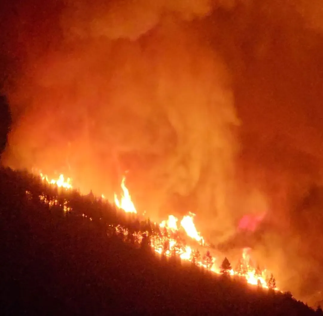 На испанском Тенерифе эвакуировали четыре села из-за лесного пожара