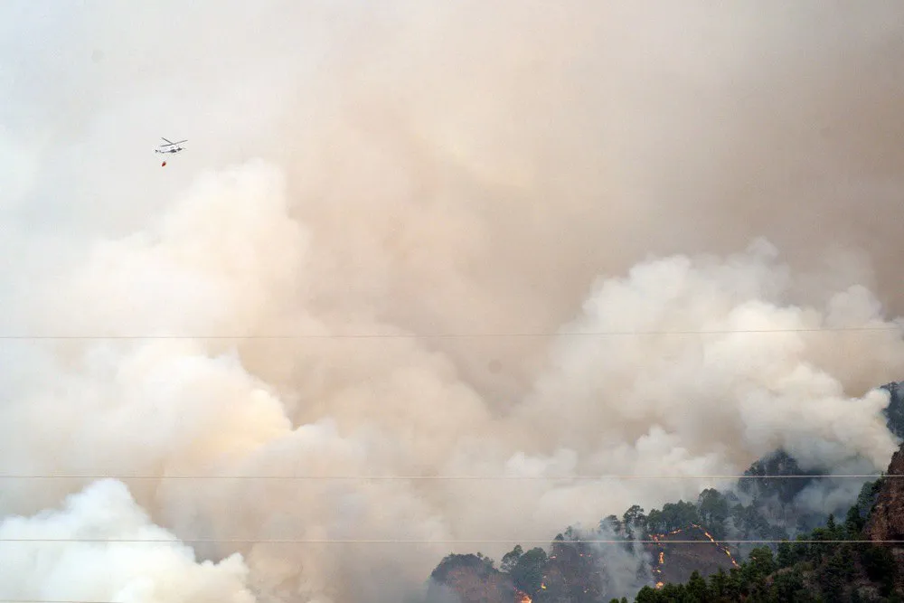 На Тенерифе вспыхнул лесной пожар