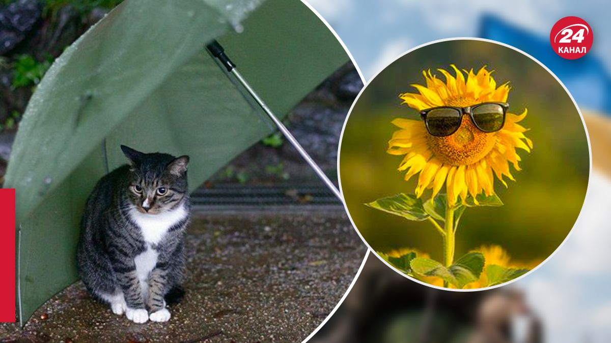 Какая будет погода в Украине 18 августа Какая будет погода в Украине 18 августа