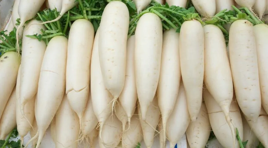 Дайкон Дайкон