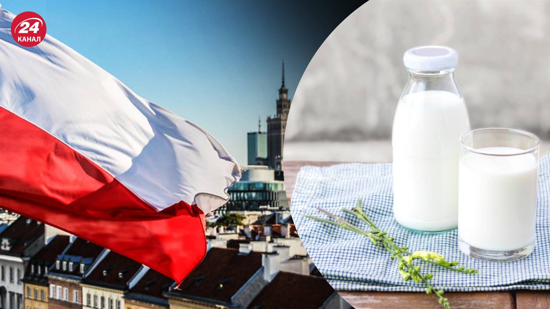 Молочные предприятия в скором времени могут начать закупать молоко в Польше