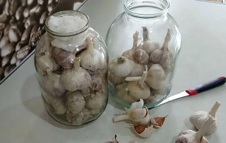 Чеснок в банках Чеснок в банках