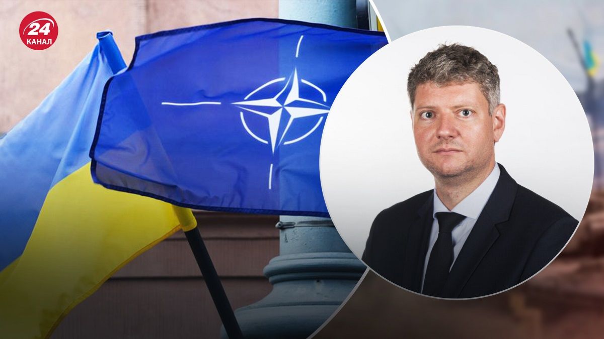 Что означают заявления о членстве Украины в НАТО в обмен на территории – мнение политолога - 24 Канал