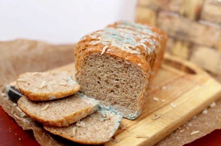 Зіпсований хліб Зіпсований хліб