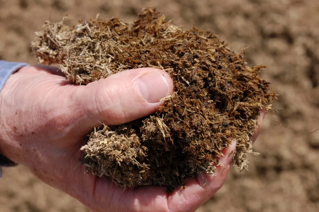 Навоз Навоз