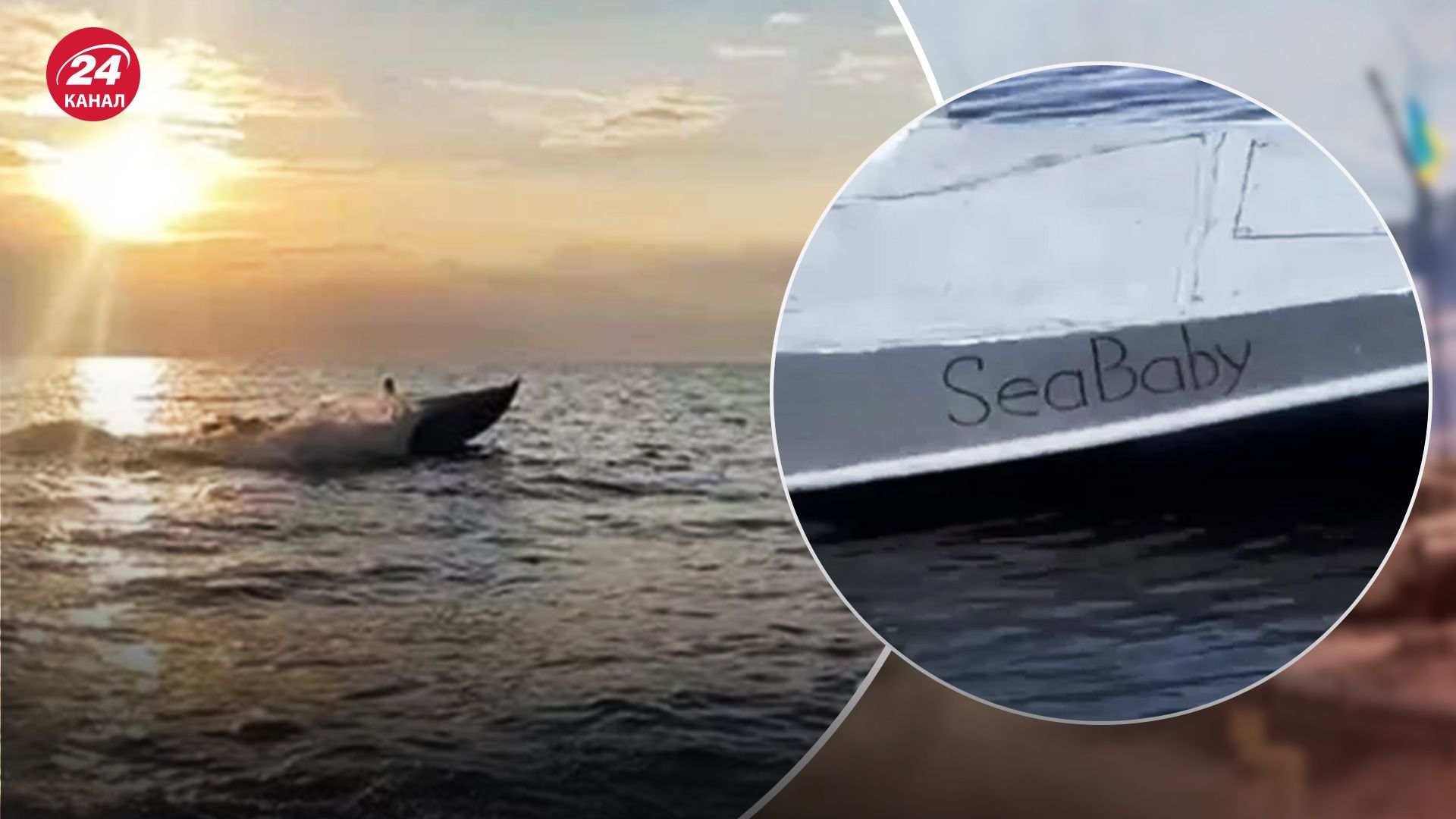 Какие перспективы надводных дронов Какие перспективы надводных дронов