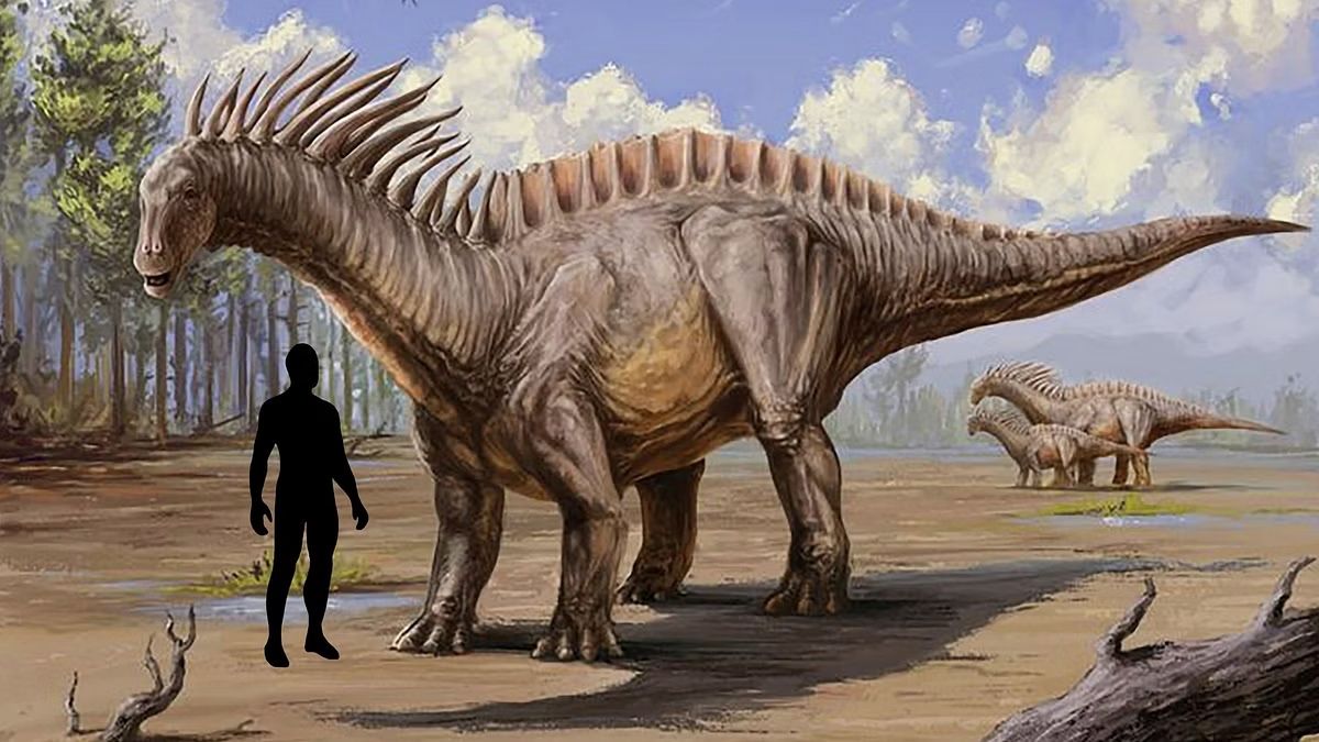 Новий вид динозаврів, родичів диплодока, знайшли в Індії