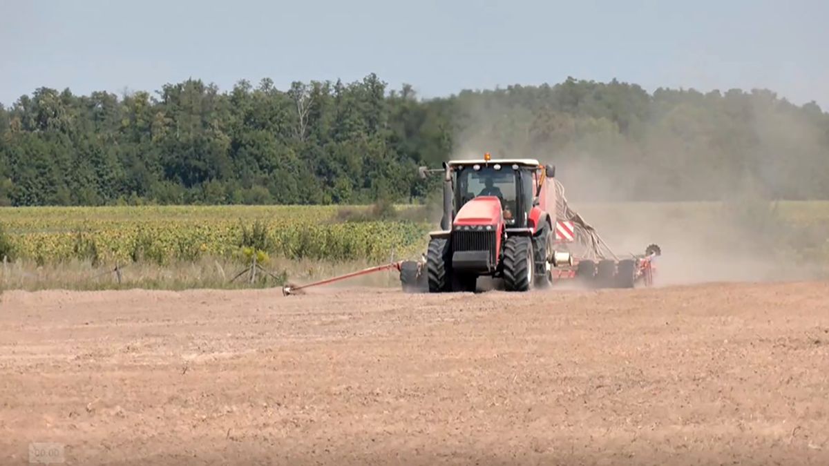 Кредитный Коридор для аграриев – компания ADAMA поддерживает украинский бизнес Кредитный Коридор для аграриев – компания ADAMA поддерживает украинский бизнес