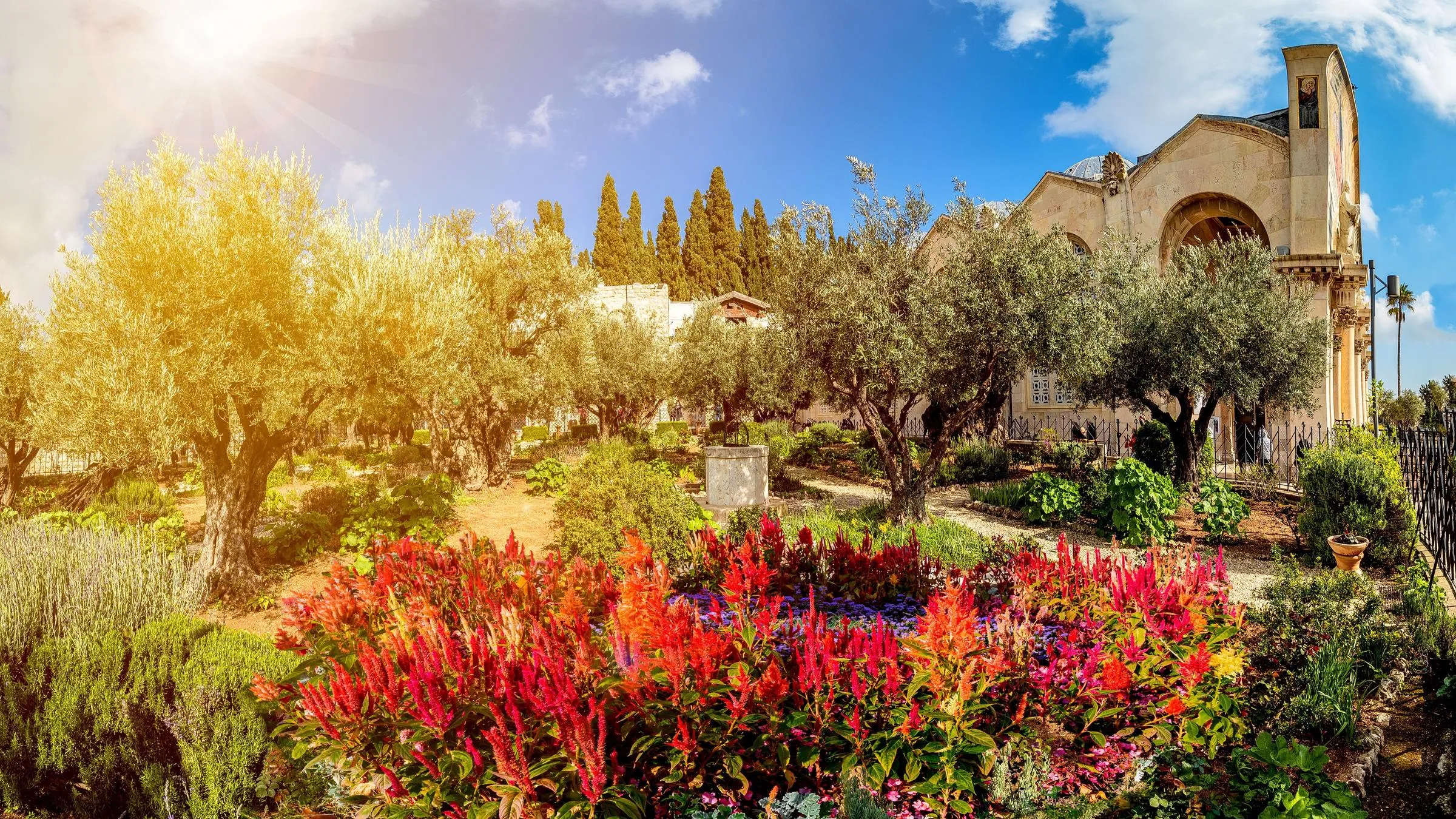 Гефсиманский сад Гефсиманский сад