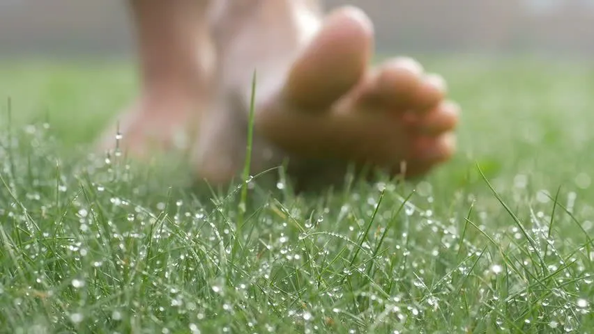 Босиком по росе Босиком по росе