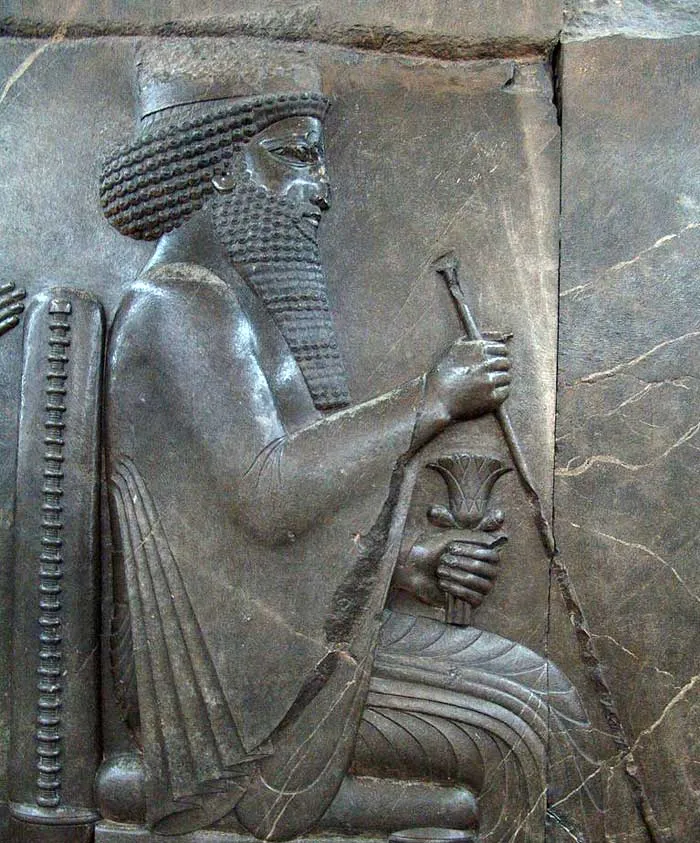 Дарий Большой Дарий Большой