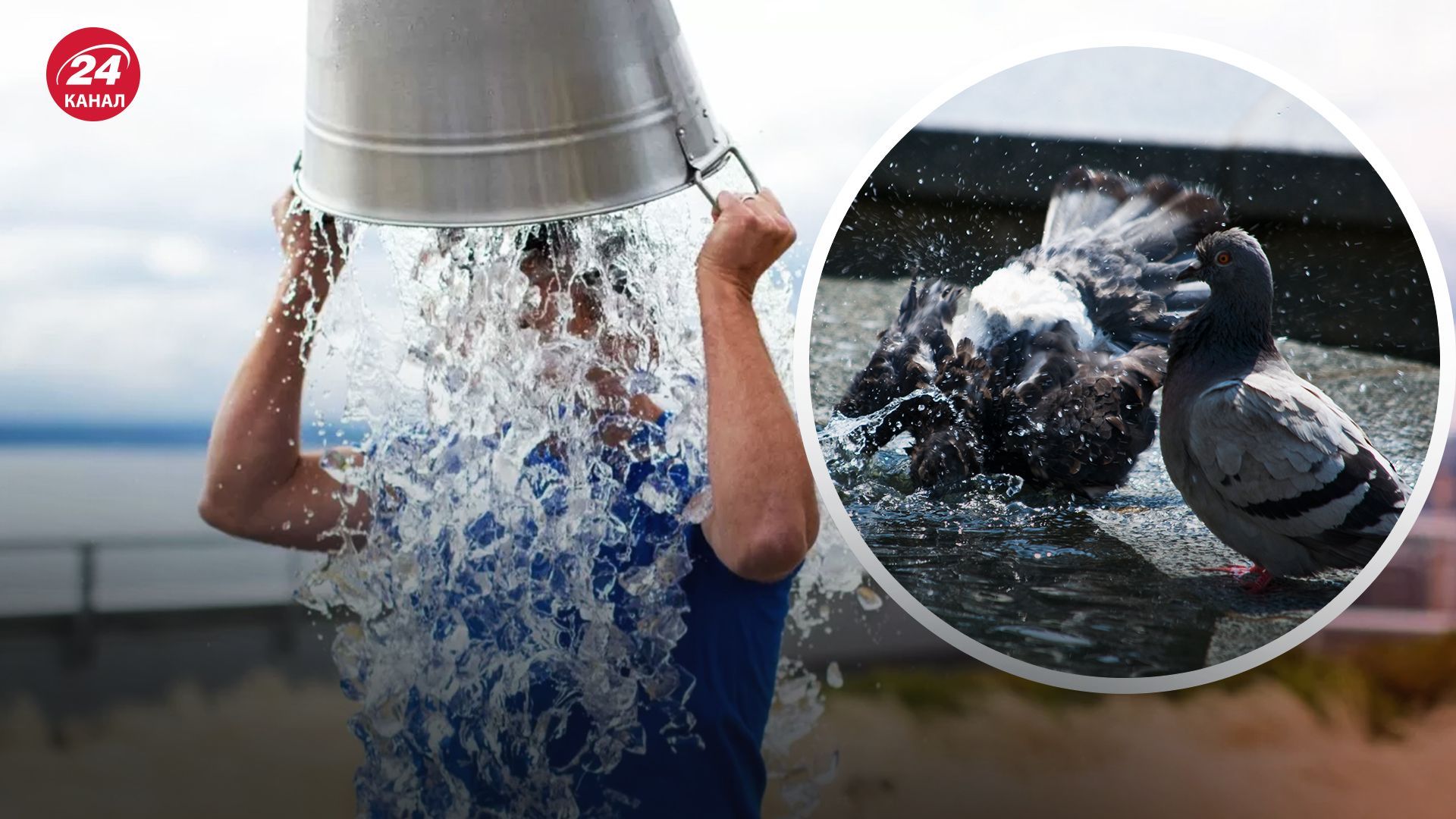 Спека - 24 Канал Спека - 24 Канал