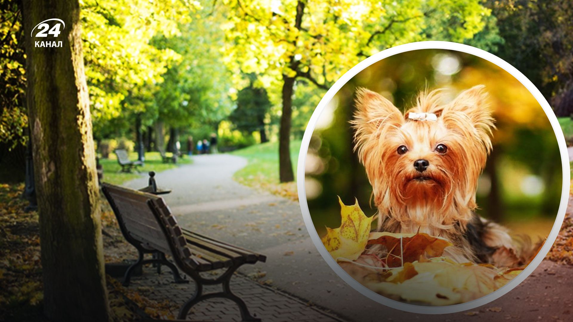 Погода - 24 Канал Погода - 24 Канал