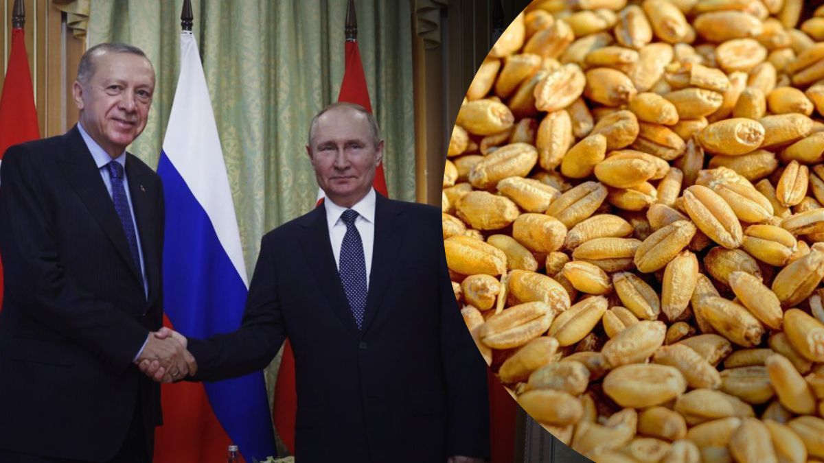 Турецкий президент и глава Кремля могут встретиться уже на следующей неделе Турецкий президент и глава Кремля могут встретиться уже на следующей неделе